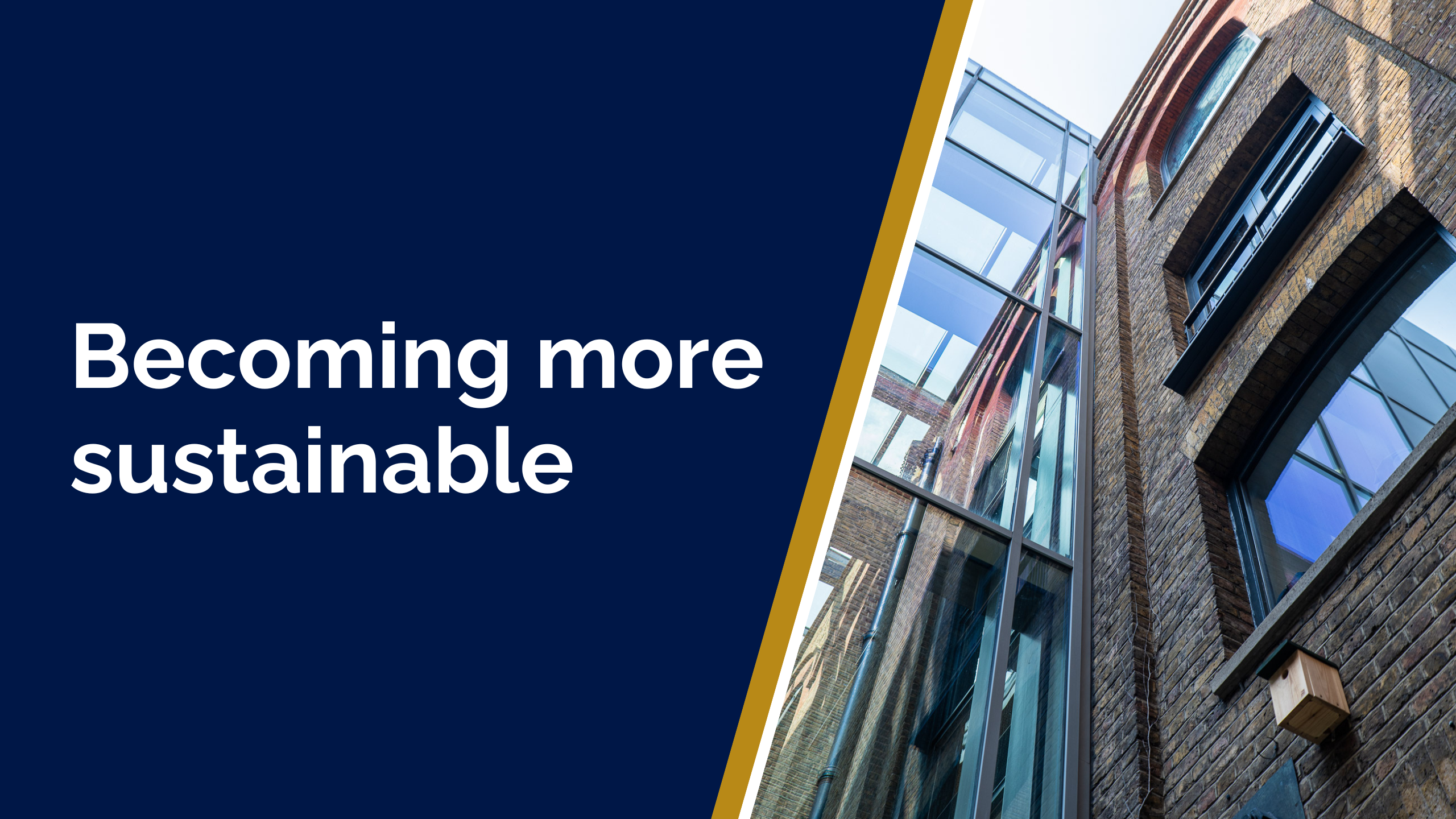 Text reads: Becoming more sustainable. In the background is a photo looking up at windows and brick walls at the RCOG building.